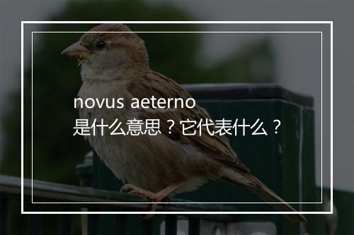 novus aeterno是什么意思？它代表什么？