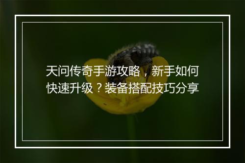 天问传奇手游攻略，新手如何快速升级？装备搭配技巧分享