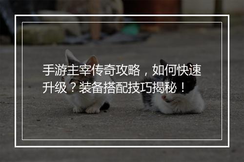手游主宰传奇攻略，如何快速升级？装备搭配技巧揭秘！