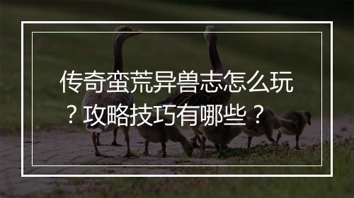 传奇蛮荒异兽志怎么玩？攻略技巧有哪些？