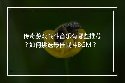 传奇游戏战斗音乐有哪些推荐？如何挑选最佳战斗BGM？