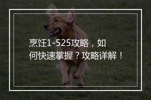 烹饪1-525攻略，如何快速掌握？攻略详解！