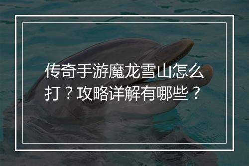 传奇手游魔龙雪山怎么打？攻略详解有哪些？