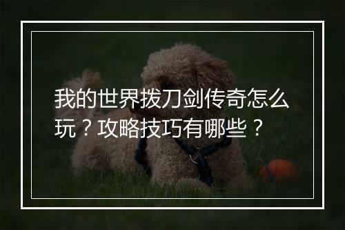 我的世界拨刀剑传奇怎么玩？攻略技巧有哪些？