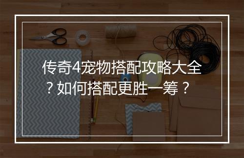 传奇4宠物搭配攻略大全？如何搭配更胜一筹？