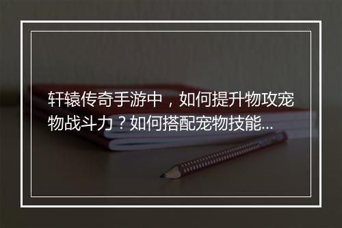 轩辕传奇手游中，如何提升物攻宠物战斗力？如何搭配宠物技能？