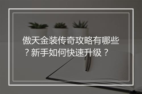 傲天金装传奇攻略有哪些？新手如何快速升级？
