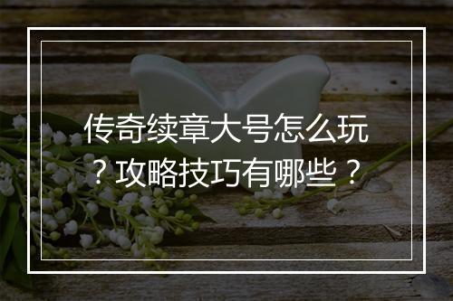 传奇续章大号怎么玩？攻略技巧有哪些？