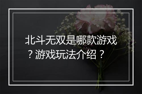 北斗无双是哪款游戏？游戏玩法介绍？