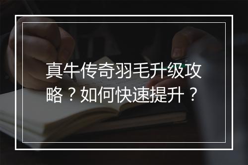 真牛传奇羽毛升级攻略？如何快速提升？