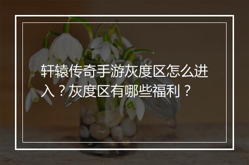 轩辕传奇手游灰度区怎么进入？灰度区有哪些福利？