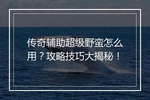传奇辅助超级野蛮怎么用？攻略技巧大揭秘！
