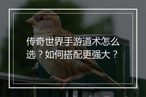 传奇世界手游道术怎么选？如何搭配更强大？