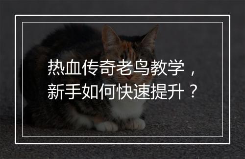 热血传奇老鸟教学，新手如何快速提升？