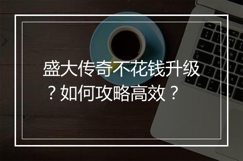 盛大传奇不花钱升级？如何攻略高效？