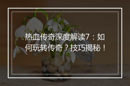 热血传奇深度解读7：如何玩转传奇？技巧揭秘！
