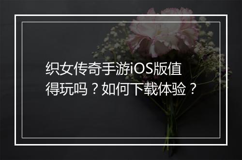 织女传奇手游iOS版值得玩吗？如何下载体验？