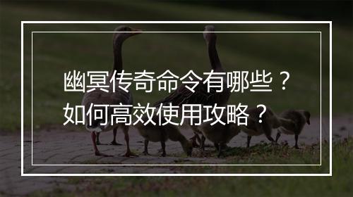 幽冥传奇命令有哪些？如何高效使用攻略？