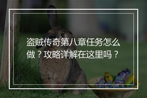 盗贼传奇第八章任务怎么做？攻略详解在这里吗？