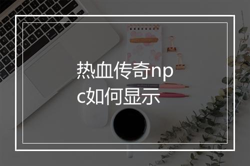 热血传奇npc如何显示