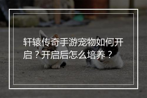 轩辕传奇手游宠物如何开启？开启后怎么培养？