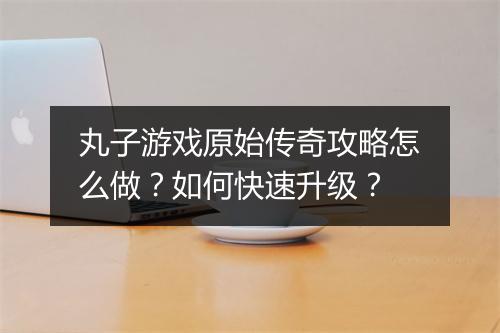 丸子游戏原始传奇攻略怎么做？如何快速升级？