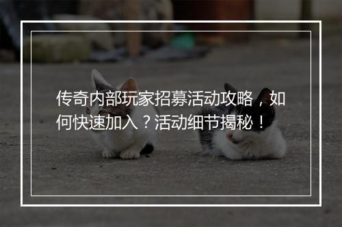 传奇内部玩家招募活动攻略，如何快速加入？活动细节揭秘！