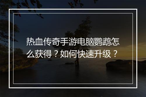 热血传奇手游电脑鹦鹉怎么获得？如何快速升级？