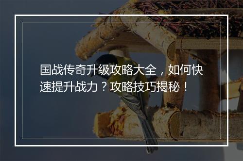 国战传奇升级攻略大全，如何快速提升战力？攻略技巧揭秘！