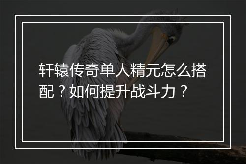 轩辕传奇单人精元怎么搭配？如何提升战斗力？