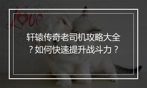 轩辕传奇老司机攻略大全？如何快速提升战斗力？