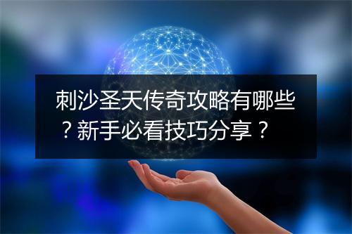 刺沙圣天传奇攻略有哪些？新手必看技巧分享？