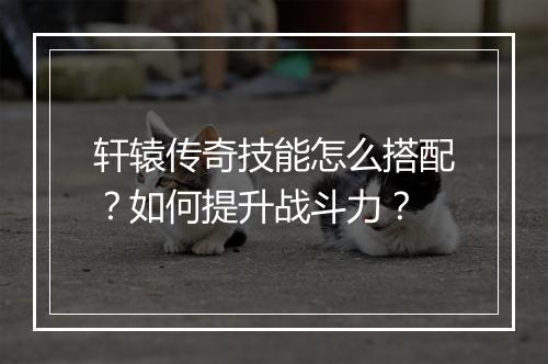 轩辕传奇技能怎么搭配？如何提升战斗力？