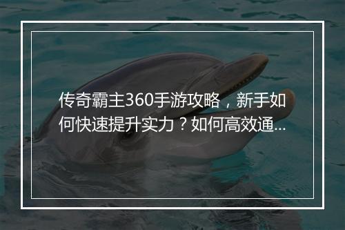 传奇霸主360手游攻略，新手如何快速提升实力？如何高效通关副本？