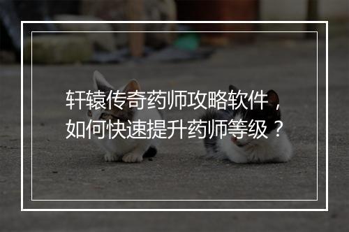 轩辕传奇药师攻略软件，如何快速提升药师等级？