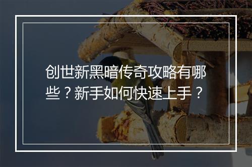 创世新黑暗传奇攻略有哪些？新手如何快速上手？