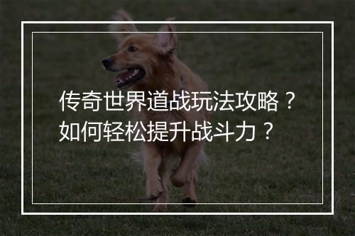 传奇世界道战玩法攻略？如何轻松提升战斗力？