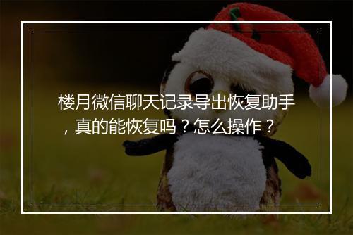 楼月微信聊天记录导出恢复助手，真的能恢复吗？怎么操作？