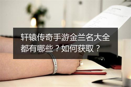 轩辕传奇手游金兰名大全都有哪些？如何获取？