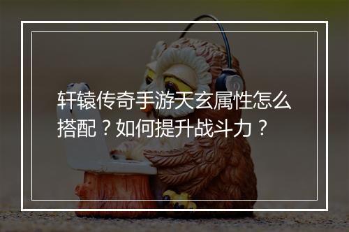 轩辕传奇手游天玄属性怎么搭配？如何提升战斗力？