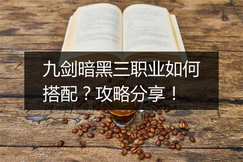 九剑暗黑三职业如何搭配？攻略分享！