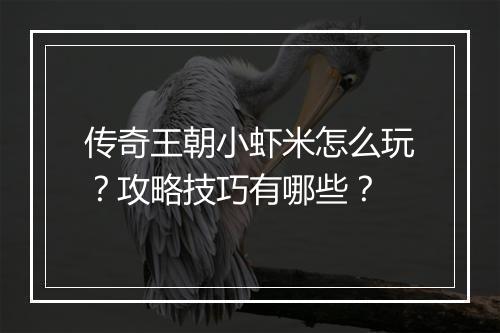 传奇王朝小虾米怎么玩？攻略技巧有哪些？