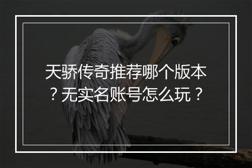 天骄传奇推荐哪个版本？无实名账号怎么玩？
