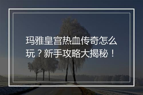 玛雅皇宫热血传奇怎么玩？新手攻略大揭秘！
