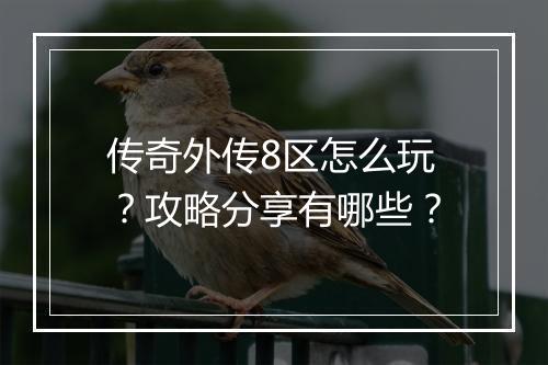 传奇外传8区怎么玩？攻略分享有哪些？