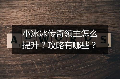 小冰冰传奇领主怎么提升？攻略有哪些？