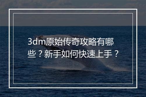 3dm原始传奇攻略有哪些？新手如何快速上手？