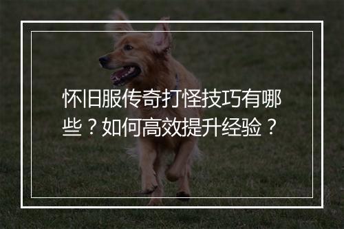 怀旧服传奇打怪技巧有哪些？如何高效提升经验？
