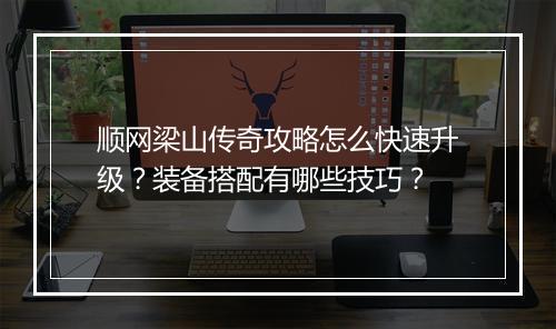 顺网梁山传奇攻略怎么快速升级？装备搭配有哪些技巧？