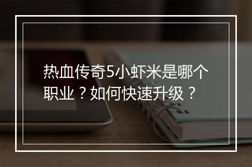 热血传奇5小虾米是哪个职业？如何快速升级？